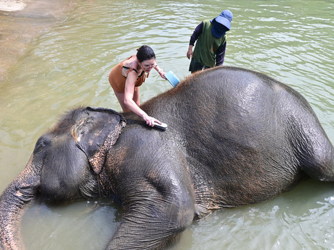 Elephant Jungle Sanctuary Samui-波普特必去景点