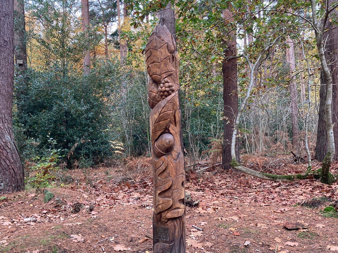 Holt Country Park-诺威奇必去景点