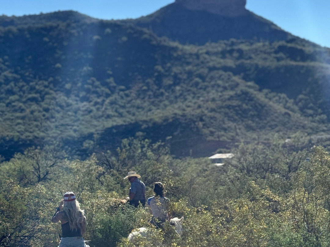 Western Destinations Canyon Creek Ranch - Tours-凤凰城必去景点