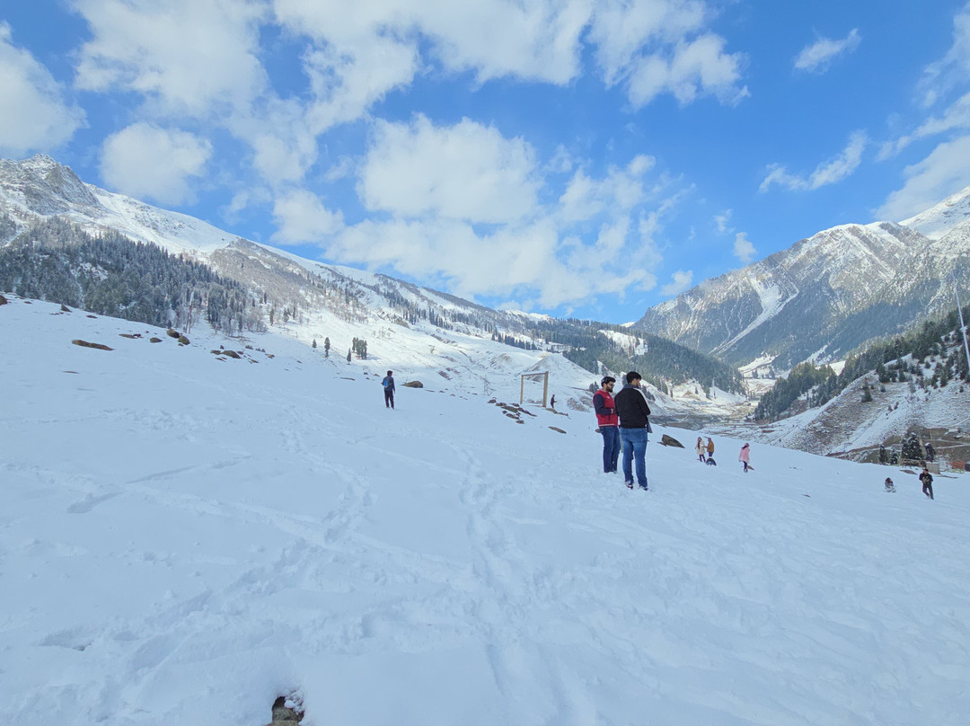 Lemon Tree Hotel, Sonamarg主图