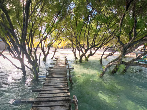 Tabuki Retreat主图