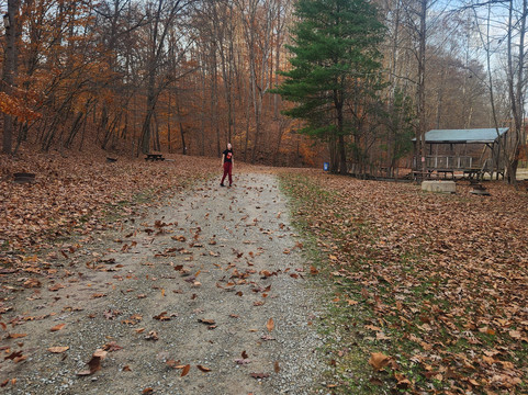 eXplore Brown County-纳什维尔必去景点