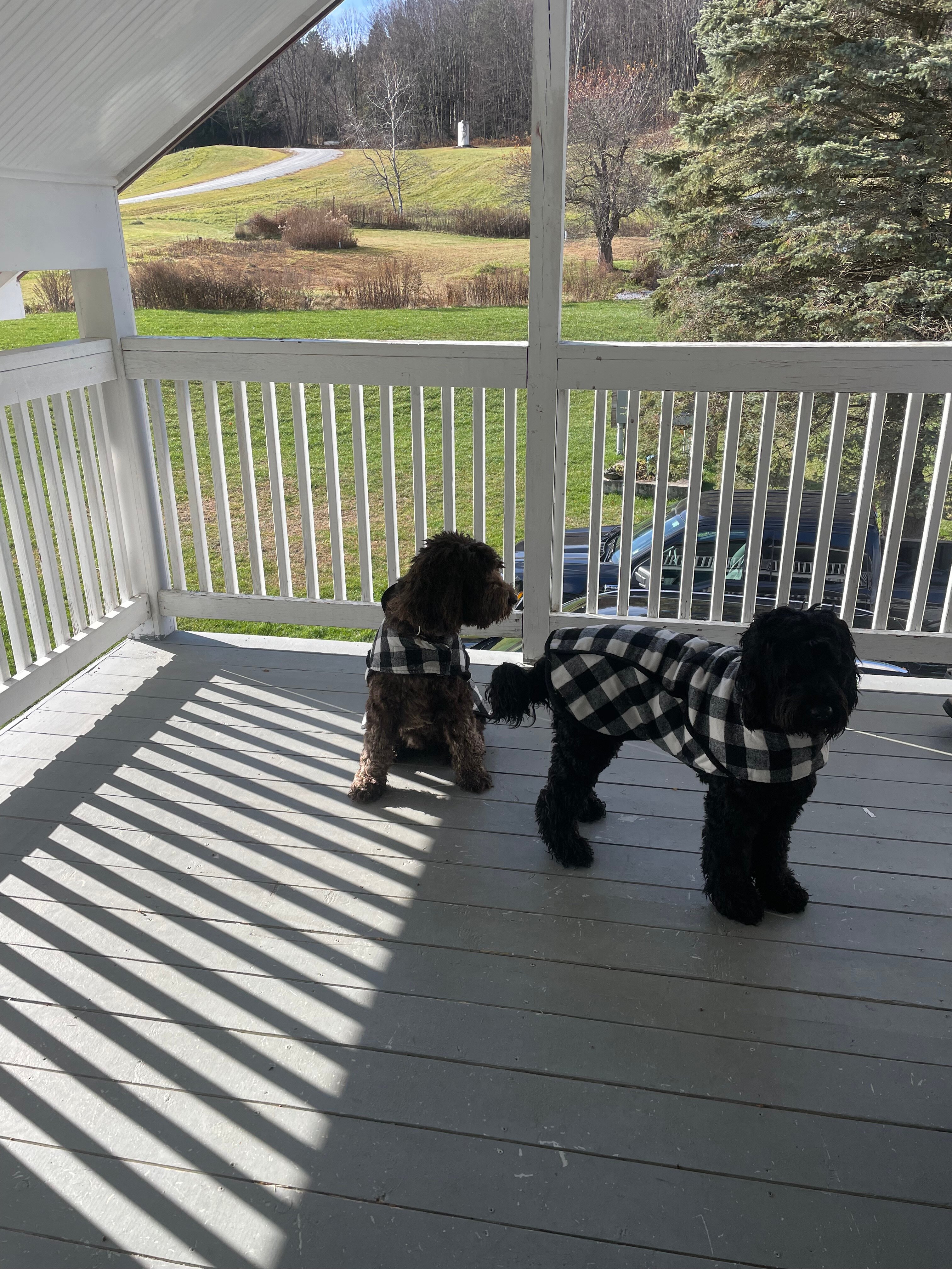 The Paw House Inn-浴室