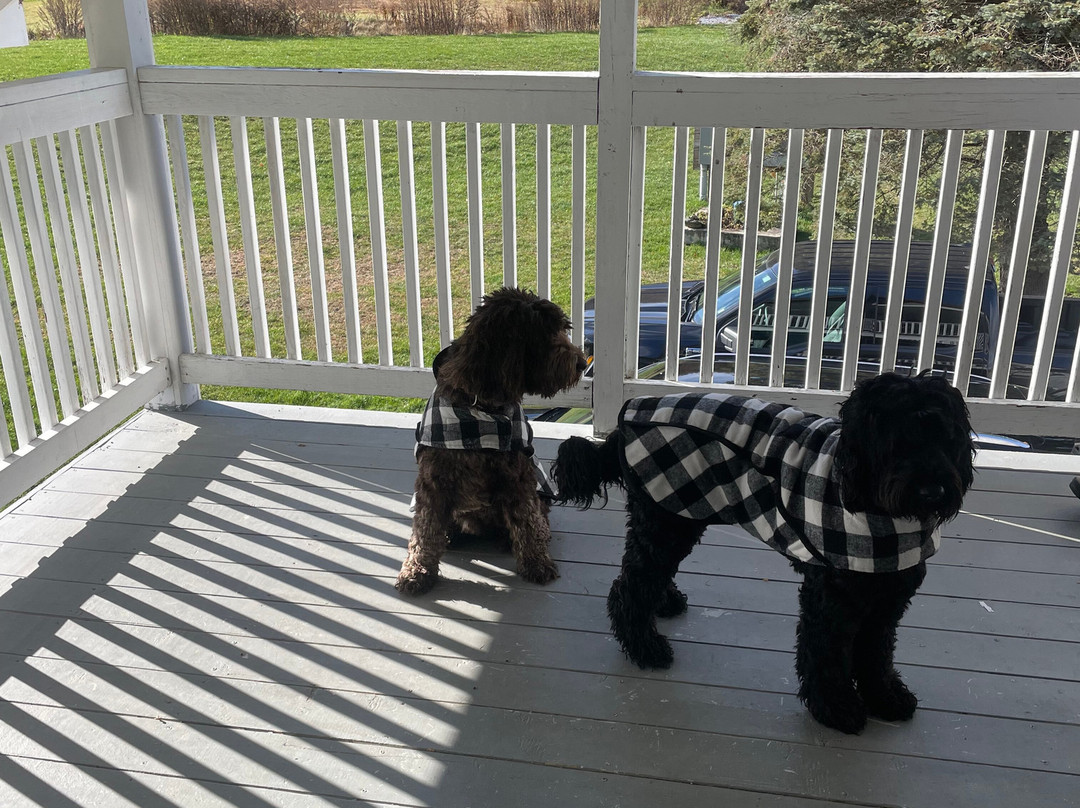 The Paw House Inn主图