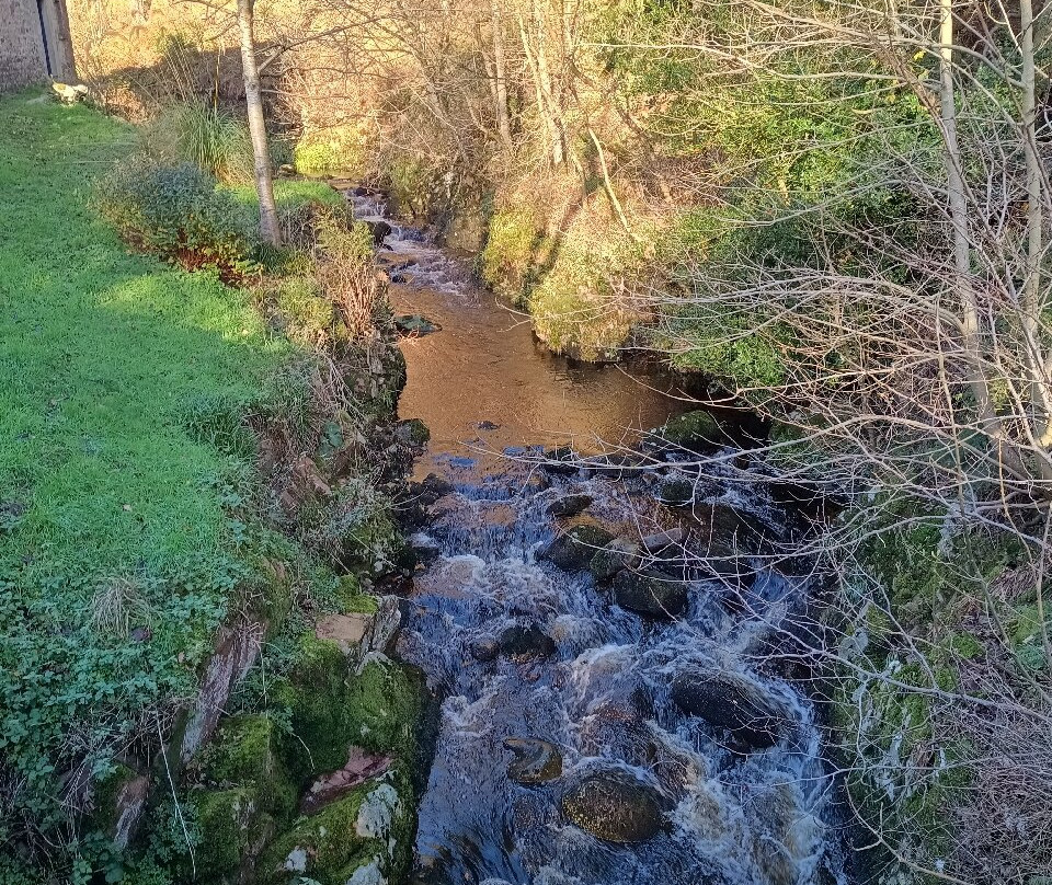 Linhope Spout-Ingram必去景点
