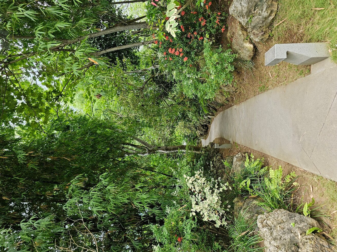 Sushi Kimura By Honzen