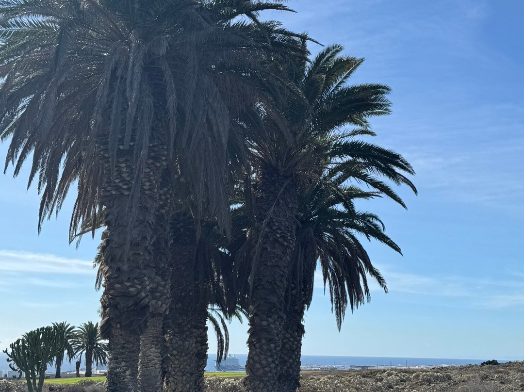 Wine Tours Lanzarote-卡门港必去景点