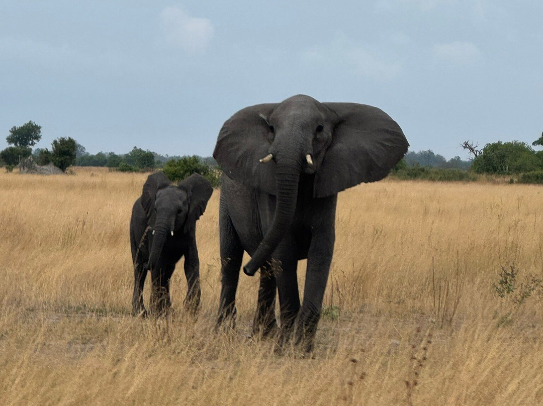 Embrace Safaris-马翁必去景点
