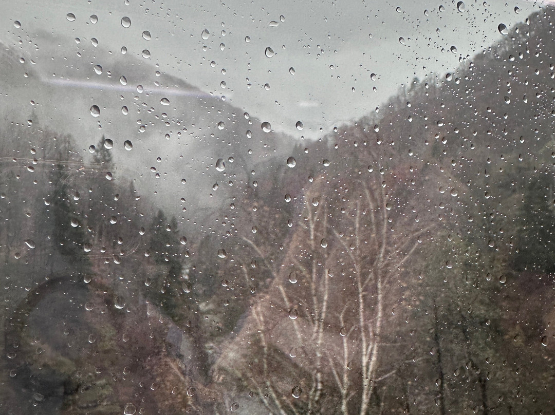 Vigezzina-Centovalli Railway-多莫多索拉必去景点