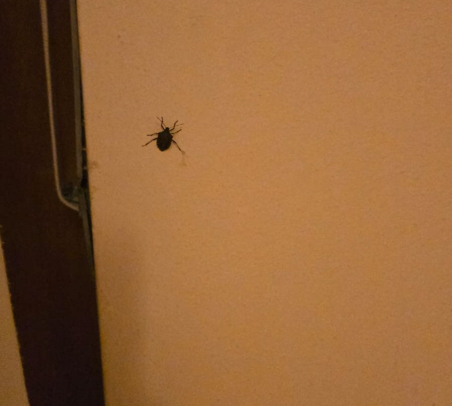 Hotel chalet del lago Avigliana主图