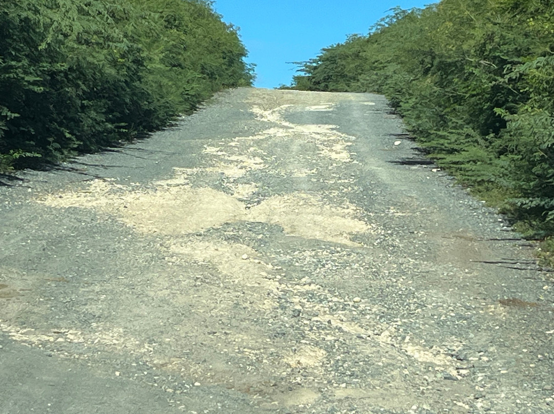 Vieques Island-维切克岛必去景点