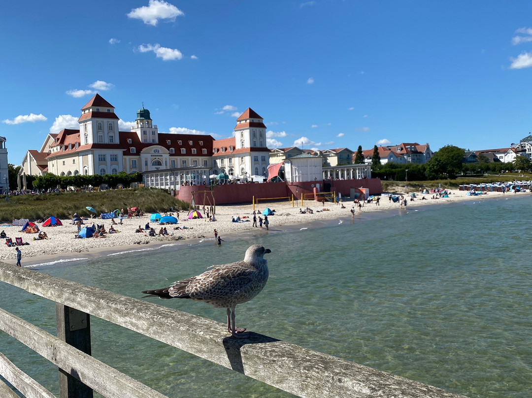 Seebrucke Binz-奥茨巴德宾兹必去景点