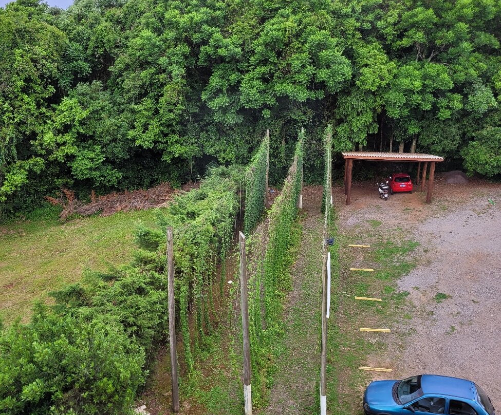 Experiência Edelbrau - Cervejaria-Nova Petropolis必去景点