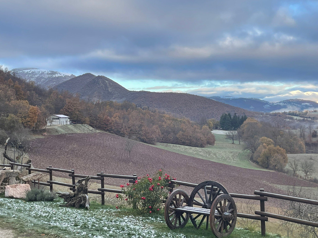 Agriturismo Casale Sant'Antonio