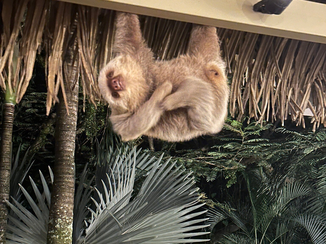 Pacific Trade Winds-Nuevo Arenal必去景点