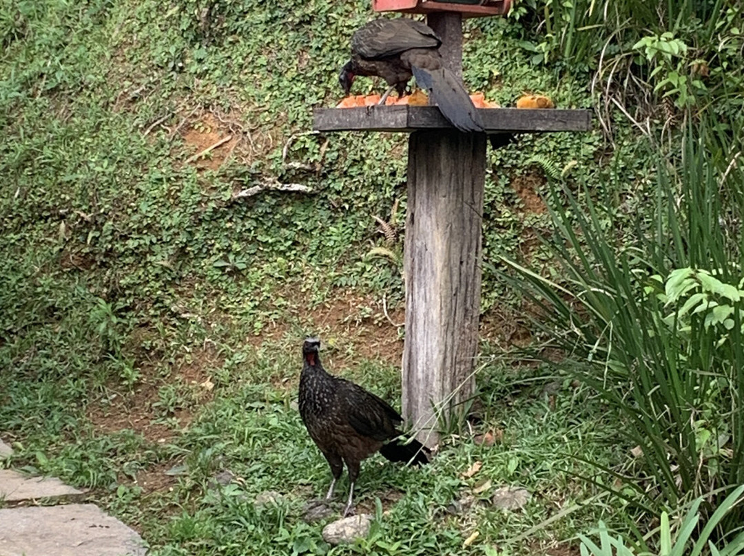 Pousada Moriá主图