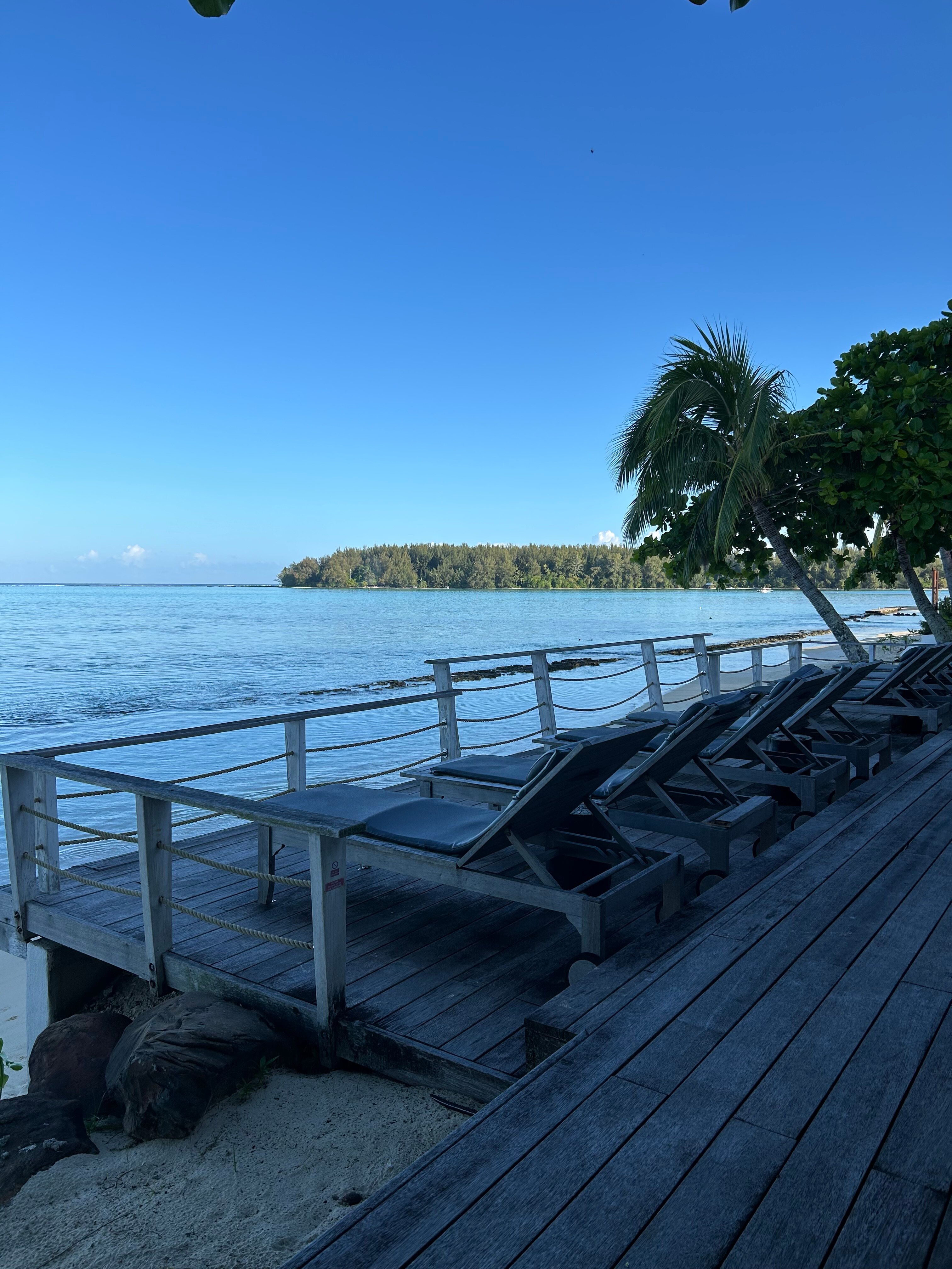 Moorea Island Beach-泳池