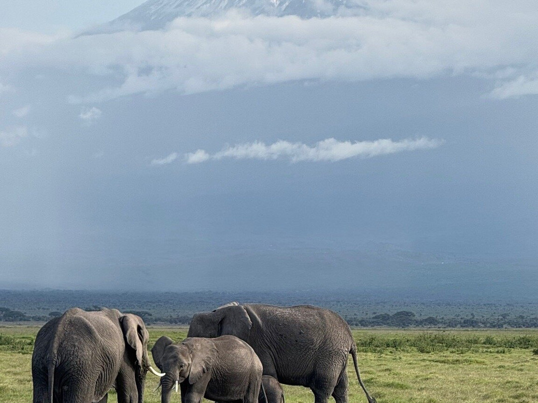 Agenzia Safari Vera Africa-东察沃国家公园必去景点