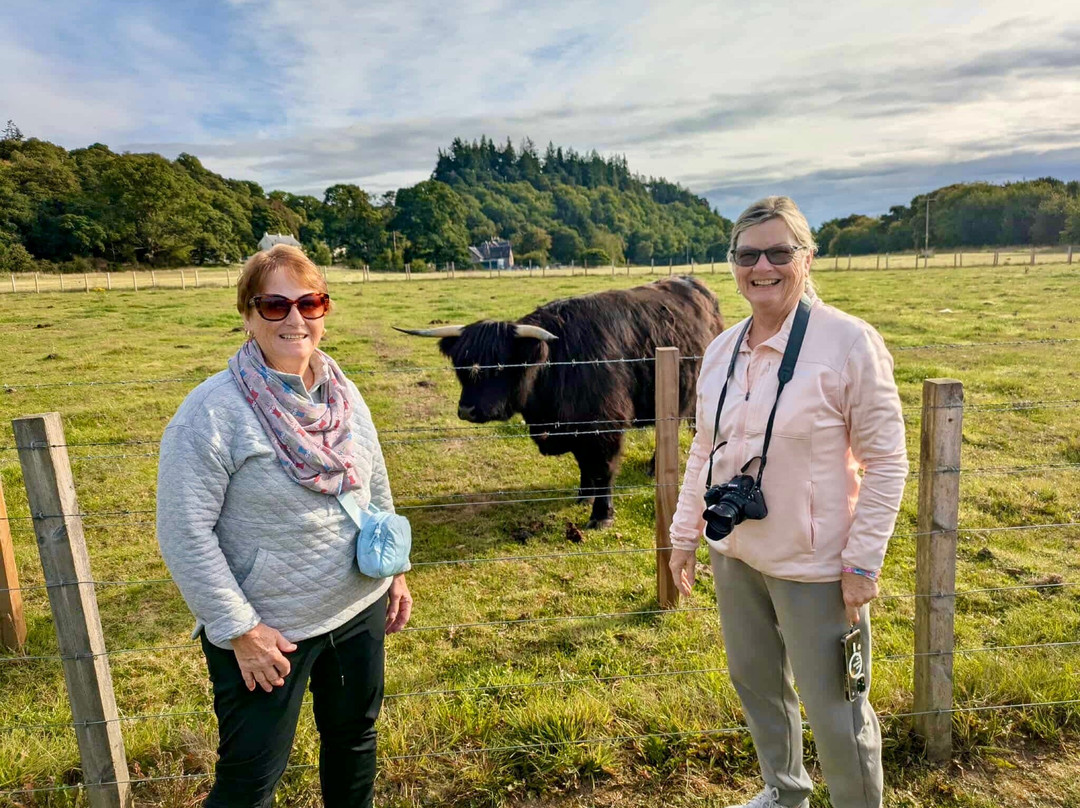 The Highlanders' Museum (Queen's Own Highlanders Collection)-Ardersier必去景点