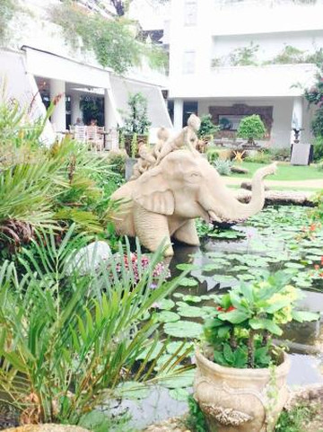 普吉岛塔夫棕榈海滩度假村主图