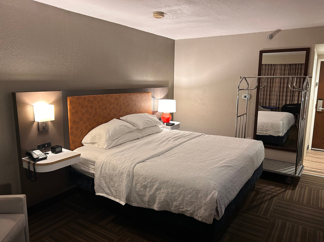 布里斯托尔希尔顿恒庭酒店主图