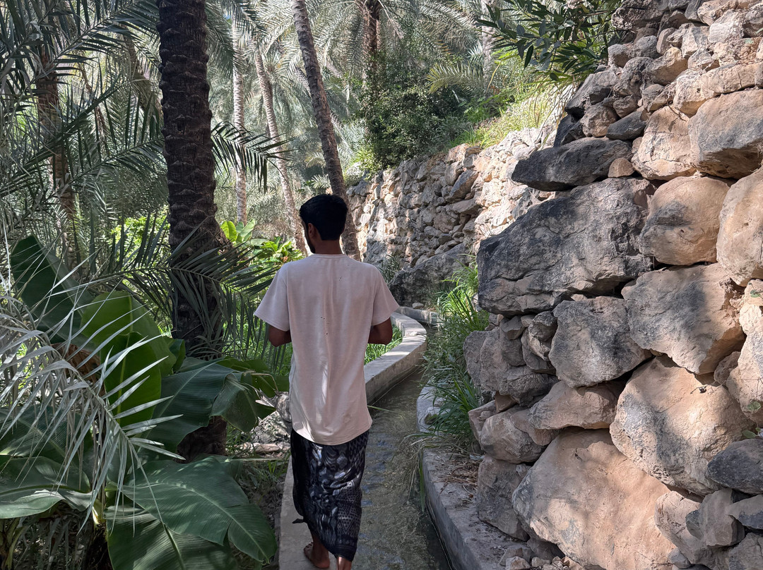Wadi Tiwi-提维必去景点