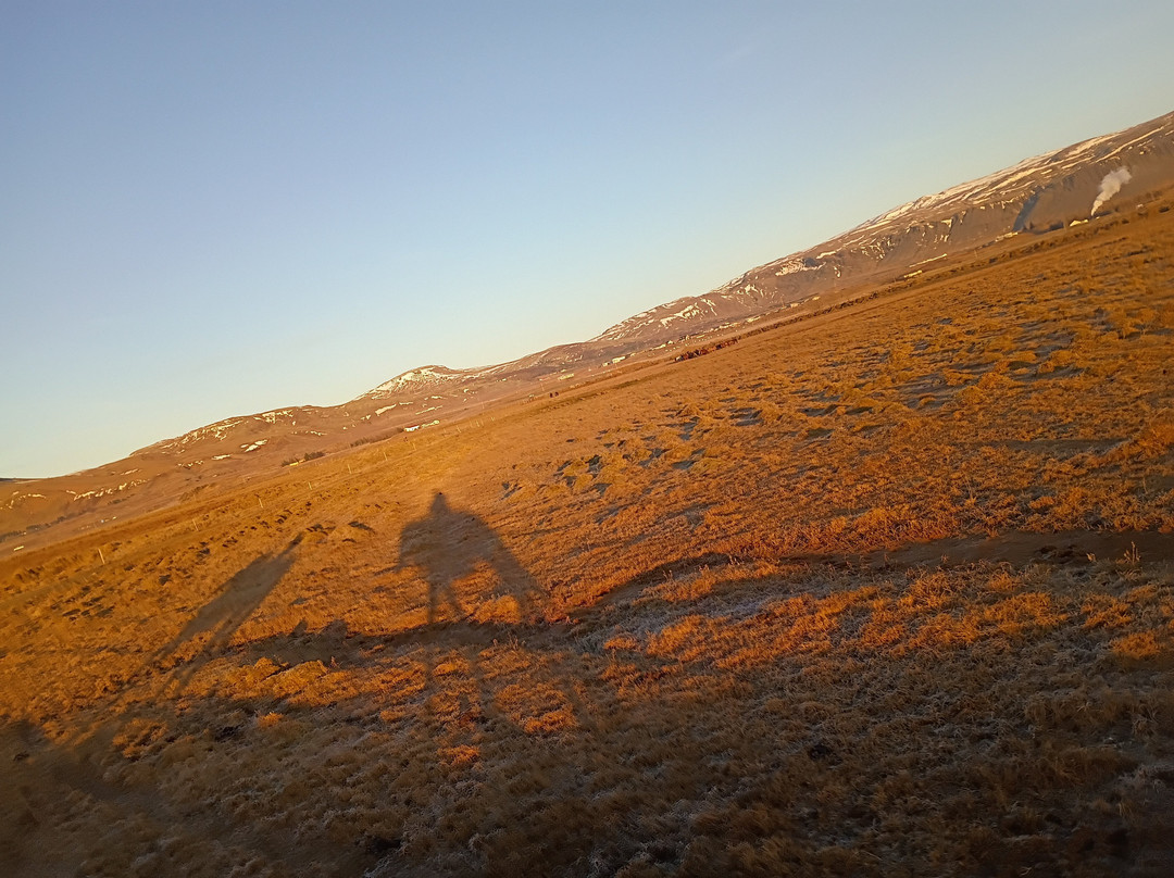 Eldhestar Volcano Horses-Olfus必去景点