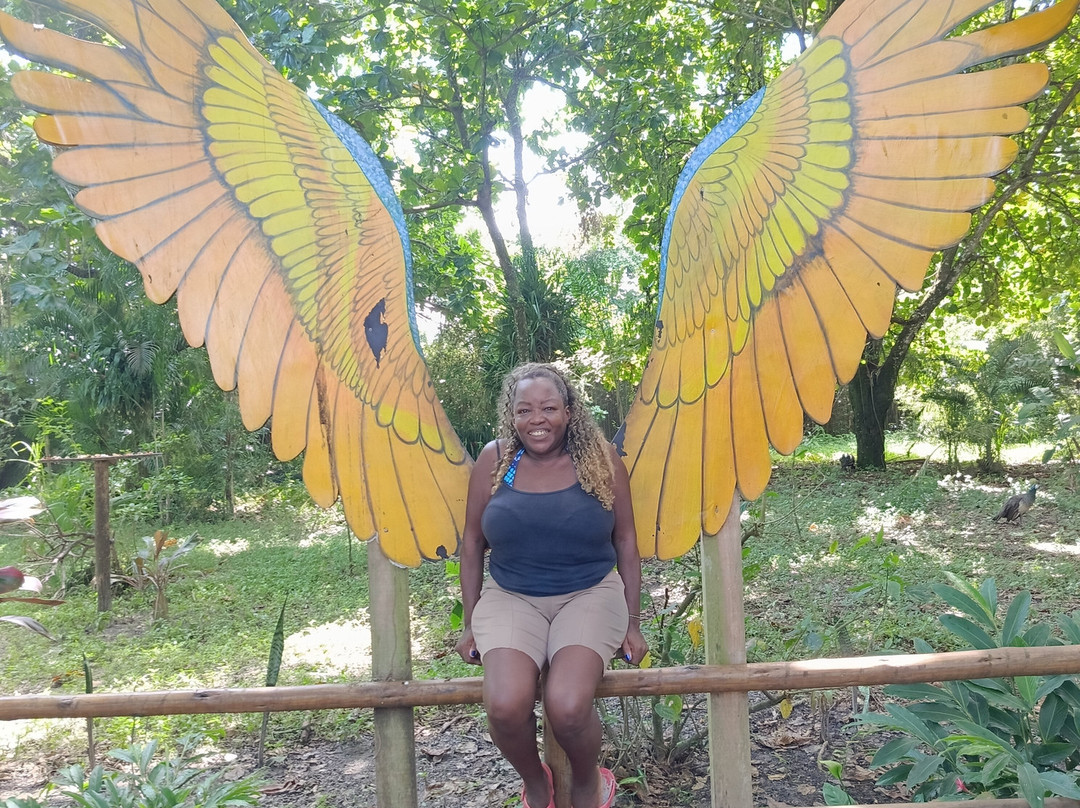 Parque Ecológico A Tribuna-Mongagua必去景点