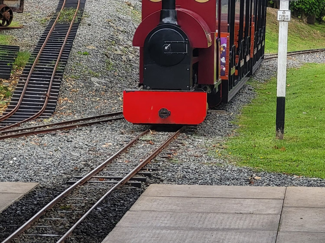 Gypsy Wood Park-卡那封必去景点