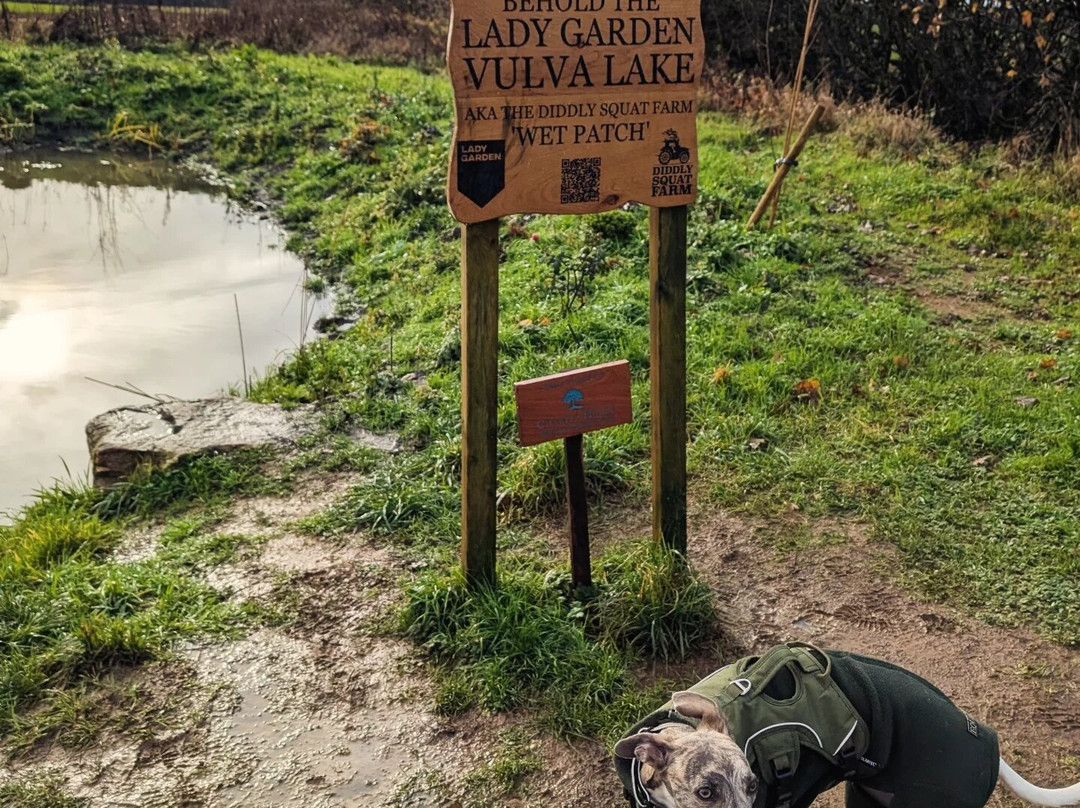 Diddly Squat Farm Shop-奇平诺顿必去景点