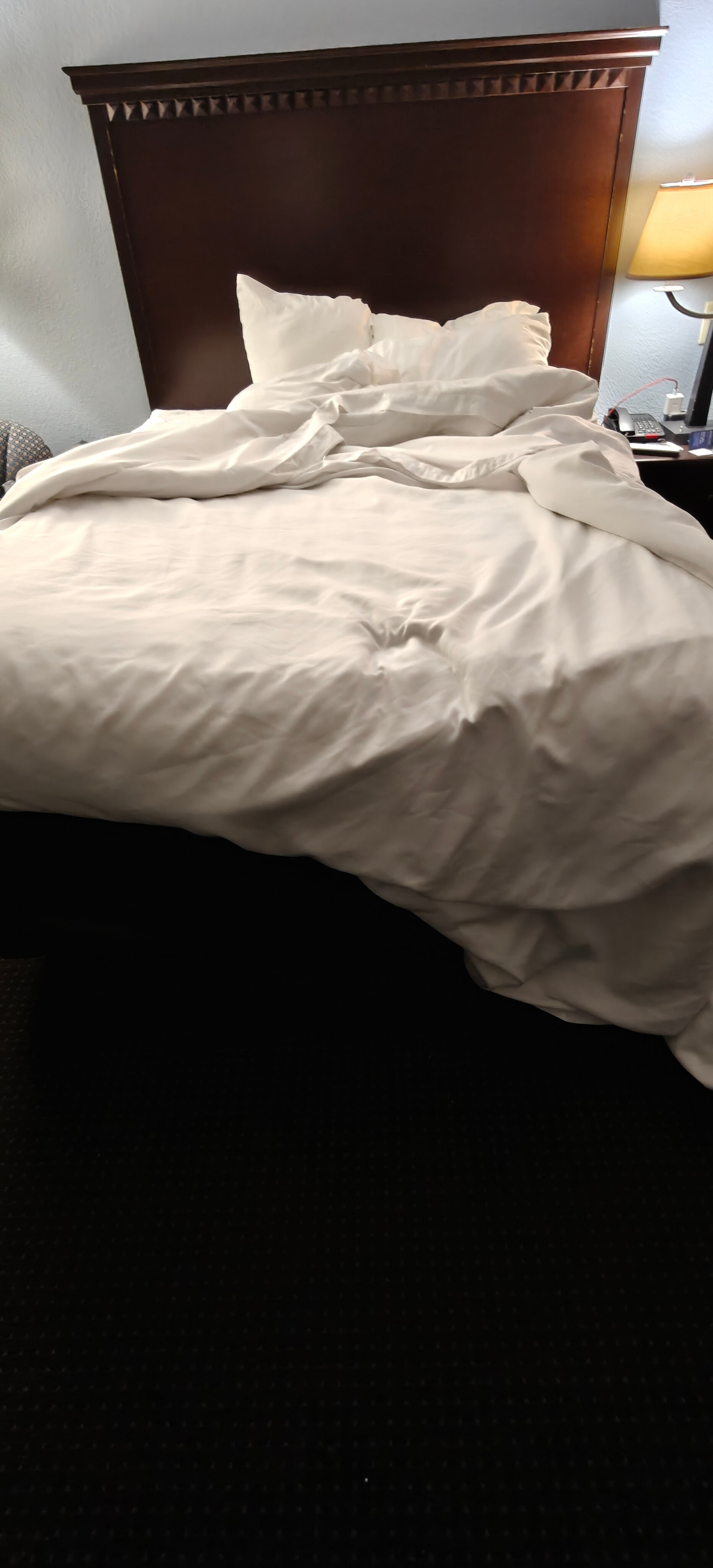 Comfort Inn & Suites Lumberton Central I-95-客卧