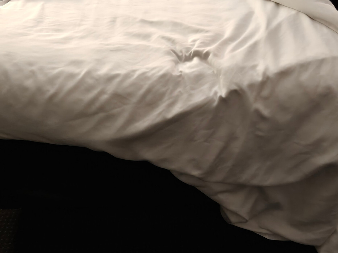 Comfort Inn & Suites Lumberton Central I-95主图