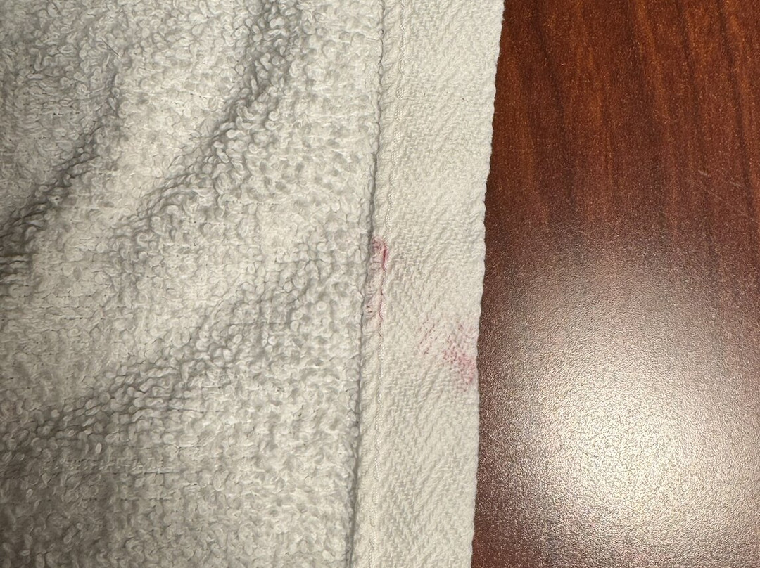 特洛伊希尔顿花园酒店主图