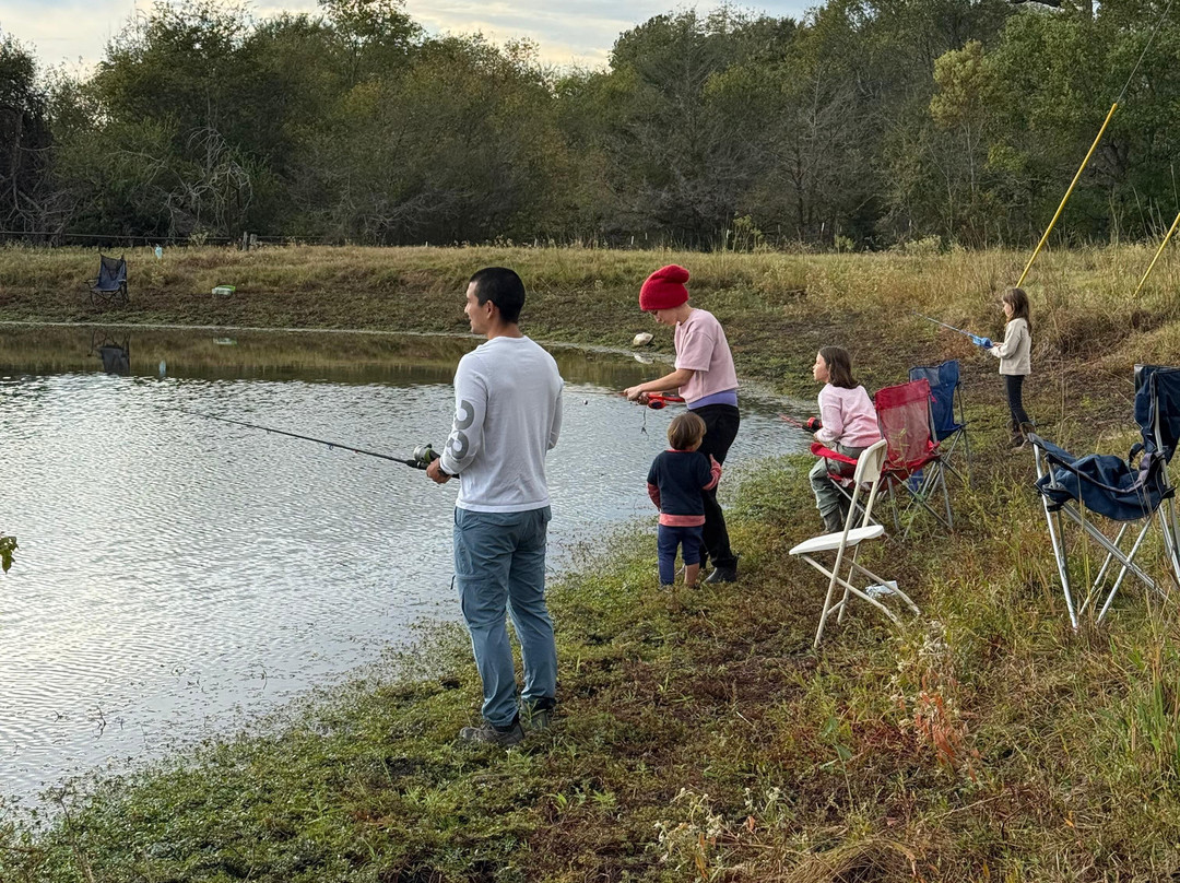 Gardner Tours-哈瓦那必去景点
