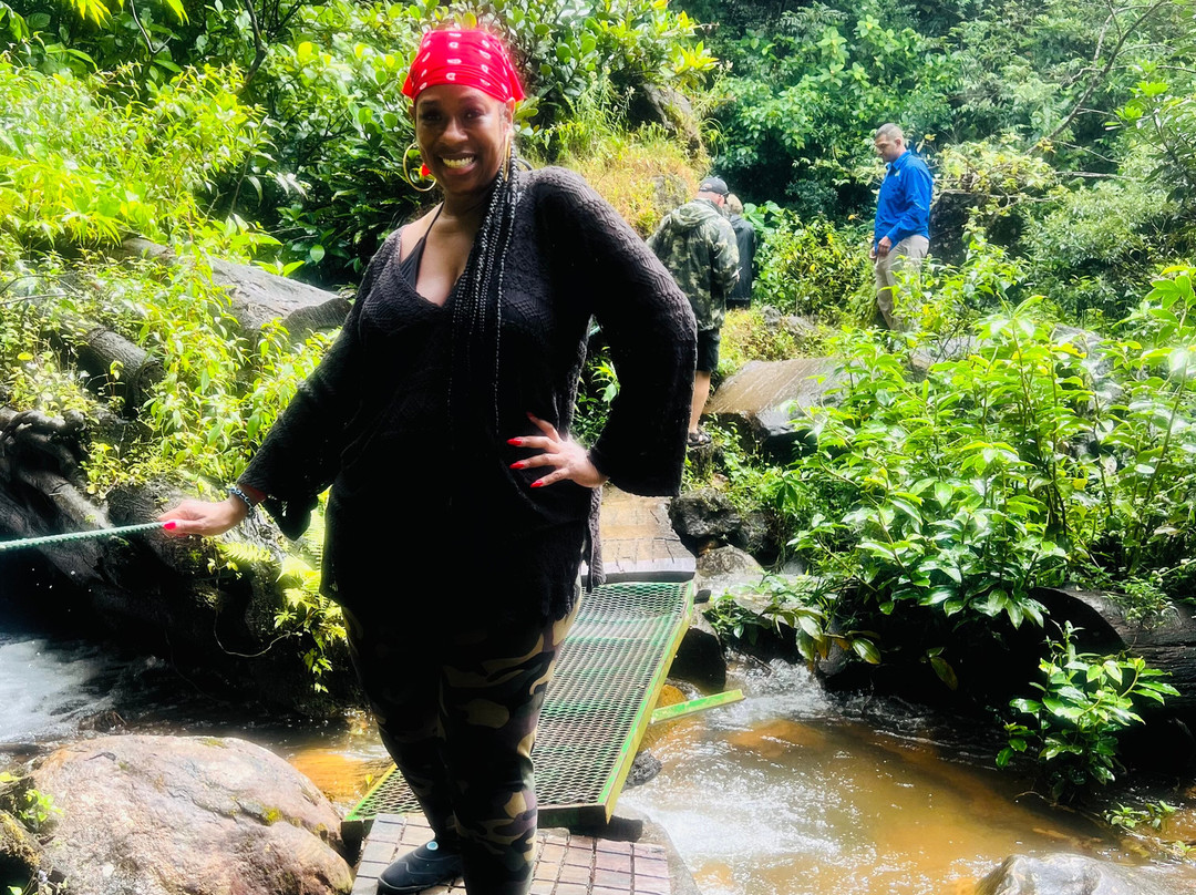 NexusTours-圣何塞必去景点