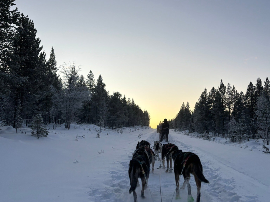 Maglelin Experience-Kittilä必去景点