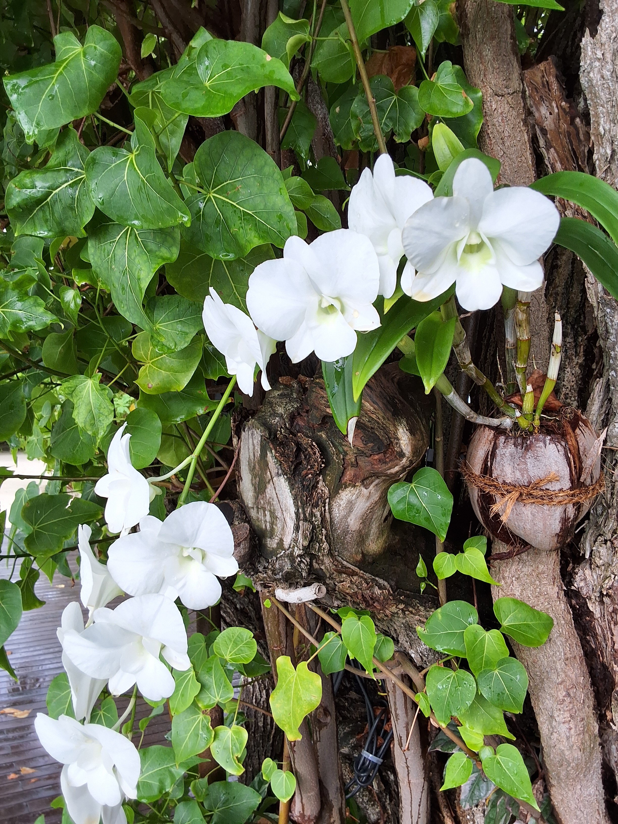 马弗谢瓦鲁酒店-浴室