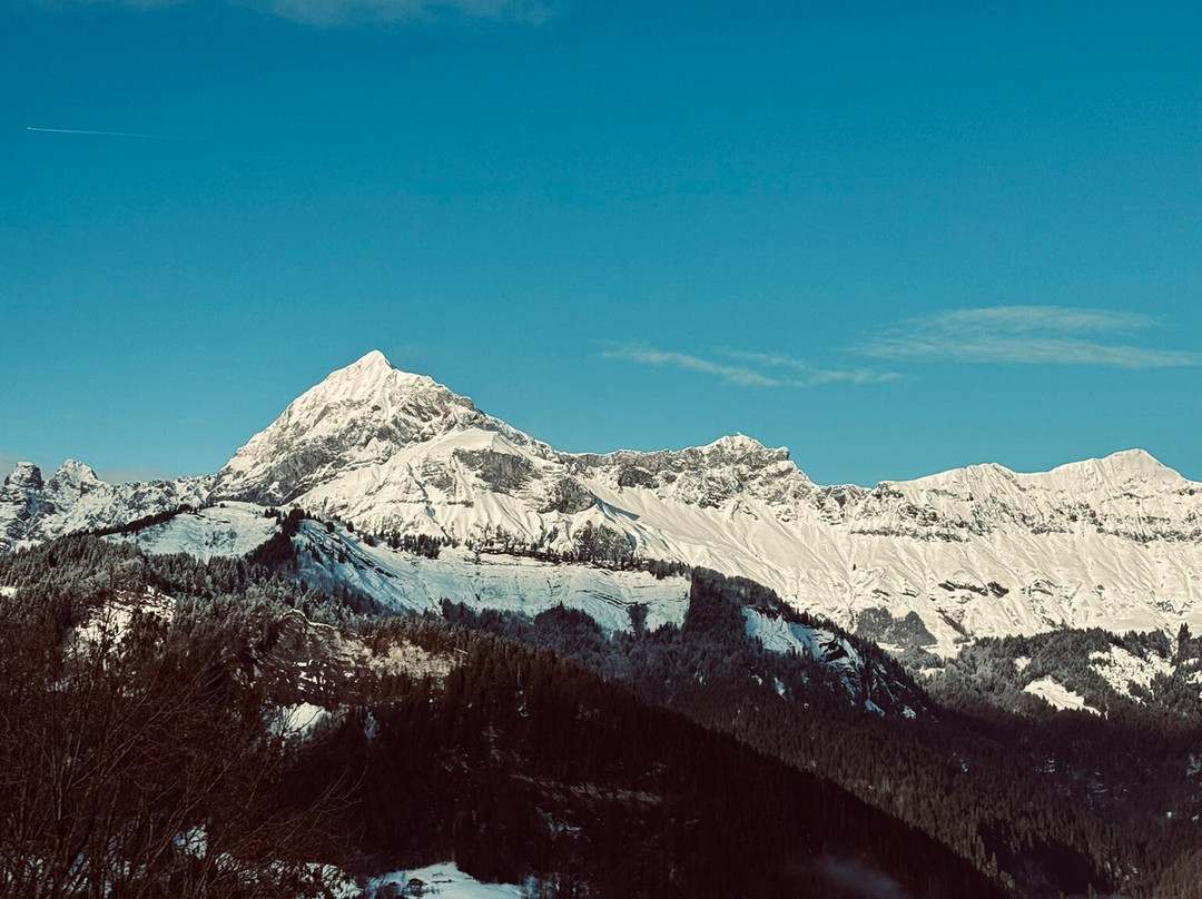 Chalet Hôtel du Mont Charvin主图