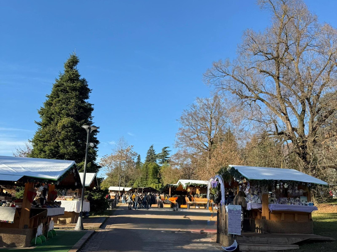 Mercatini Di Natale-莱维科泰尔梅必去景点