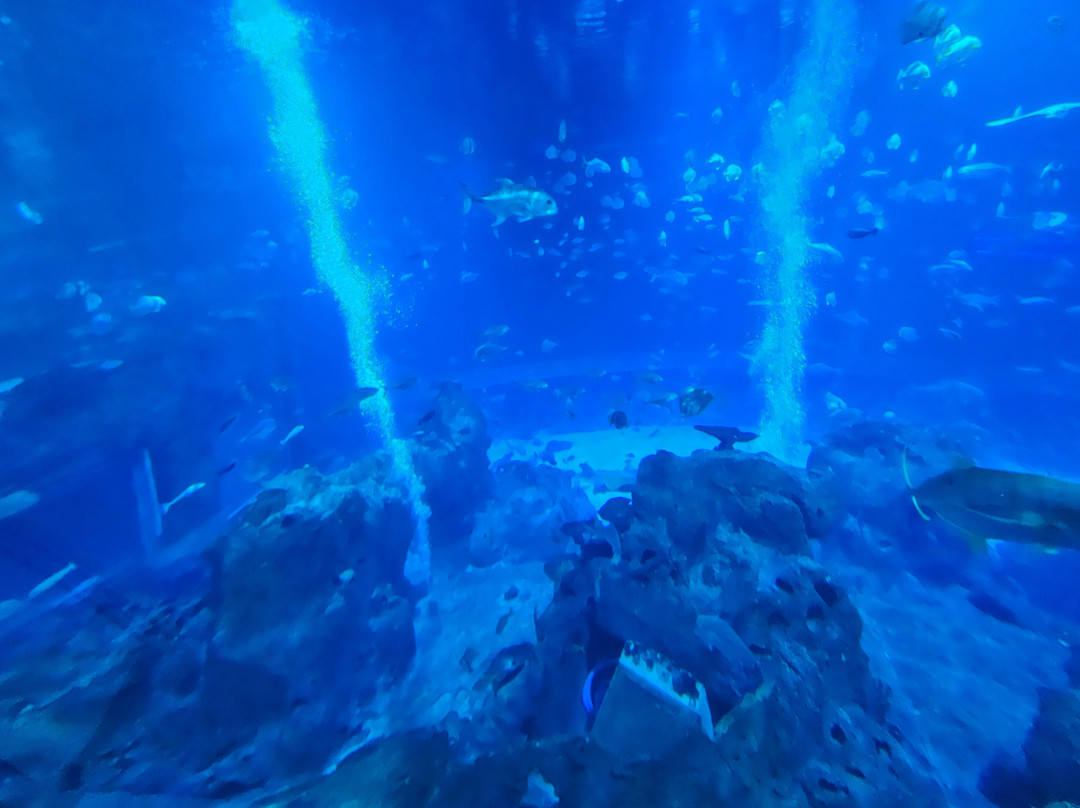 圣淘沙名胜世界海滨别墅