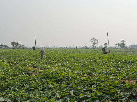 DHAKA CITY TOURS-达卡市必去景点