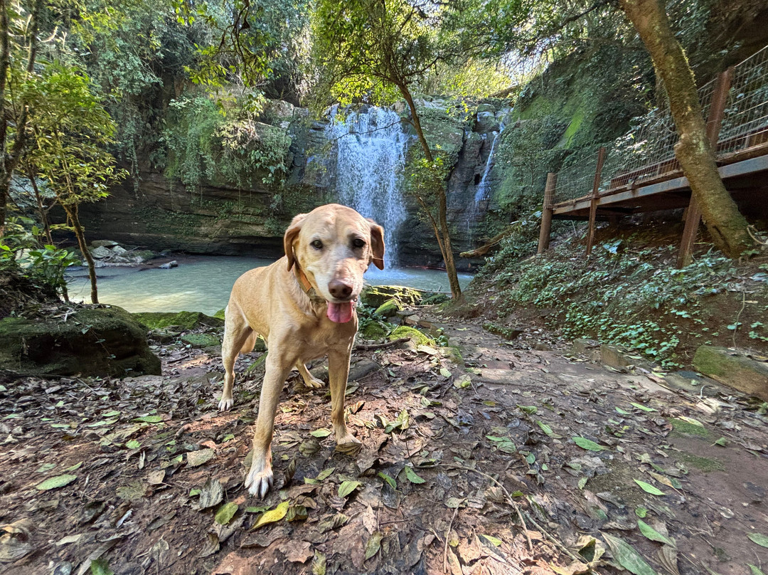 Cascata Chuveirao-Venancio Aires必去景点