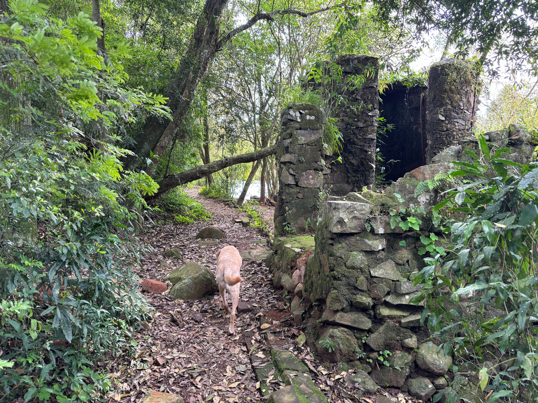 Santa Rita Falls-Estrela必去景点