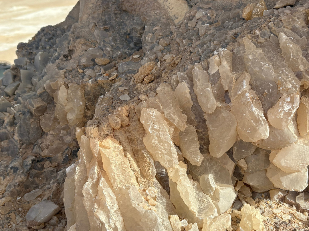 white desert travel-Bahariya Oasis必去景点