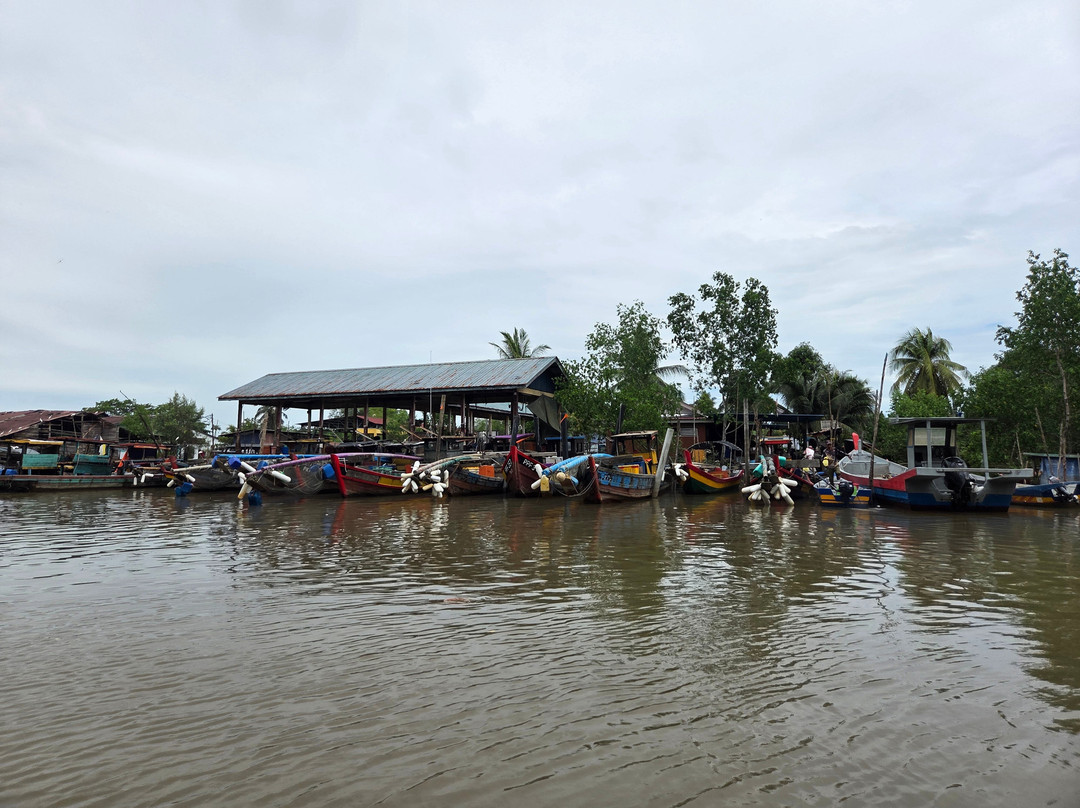 Matang Mangrove Forest Reserve-Kuala Sepetang必去景点
