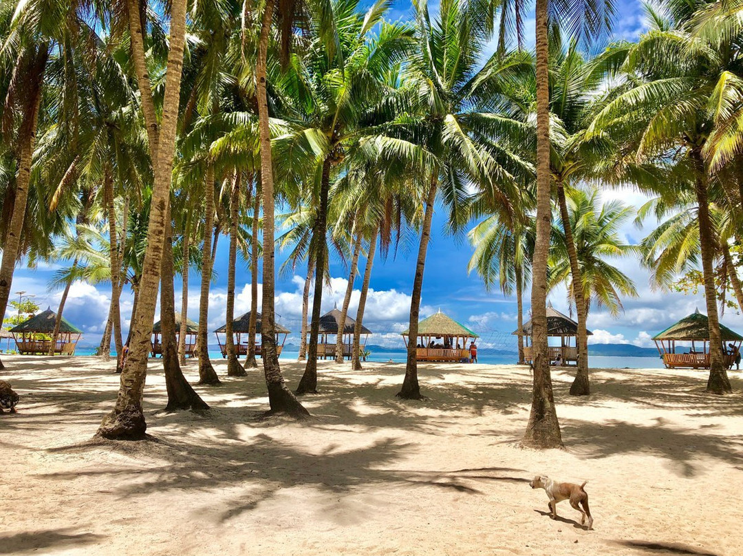 Daku Island-锡亚高岛必去景点