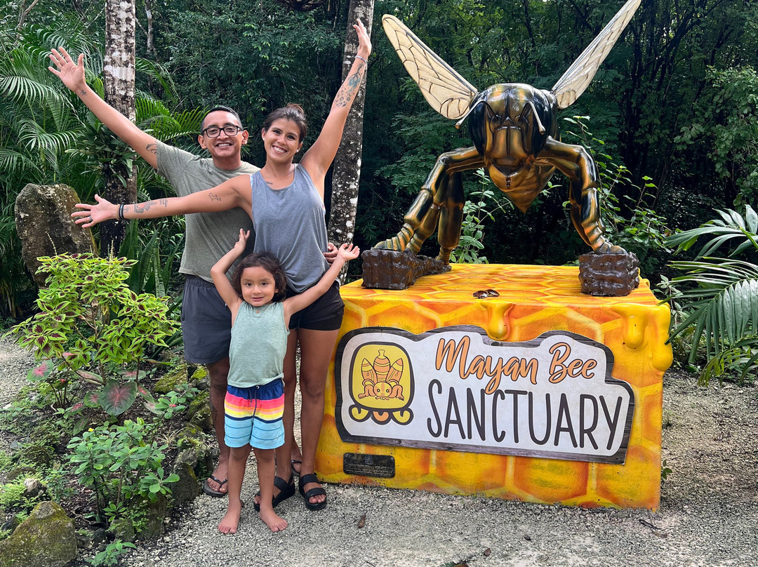 Mayan Bee Sanctuary-San Miguel de Cozumel必去景点