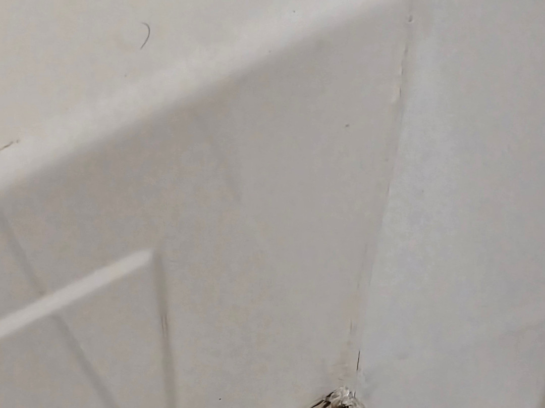 Everspring Inn主图