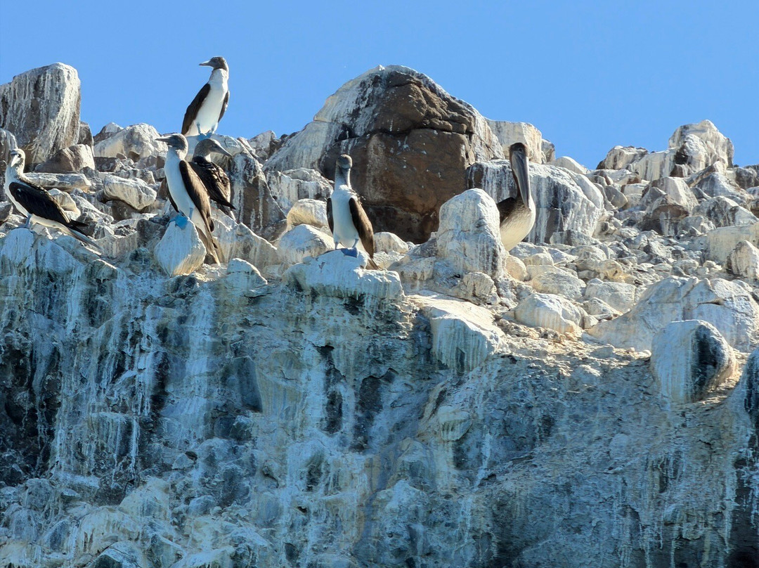 The Cortez Club-拉巴斯必去景点