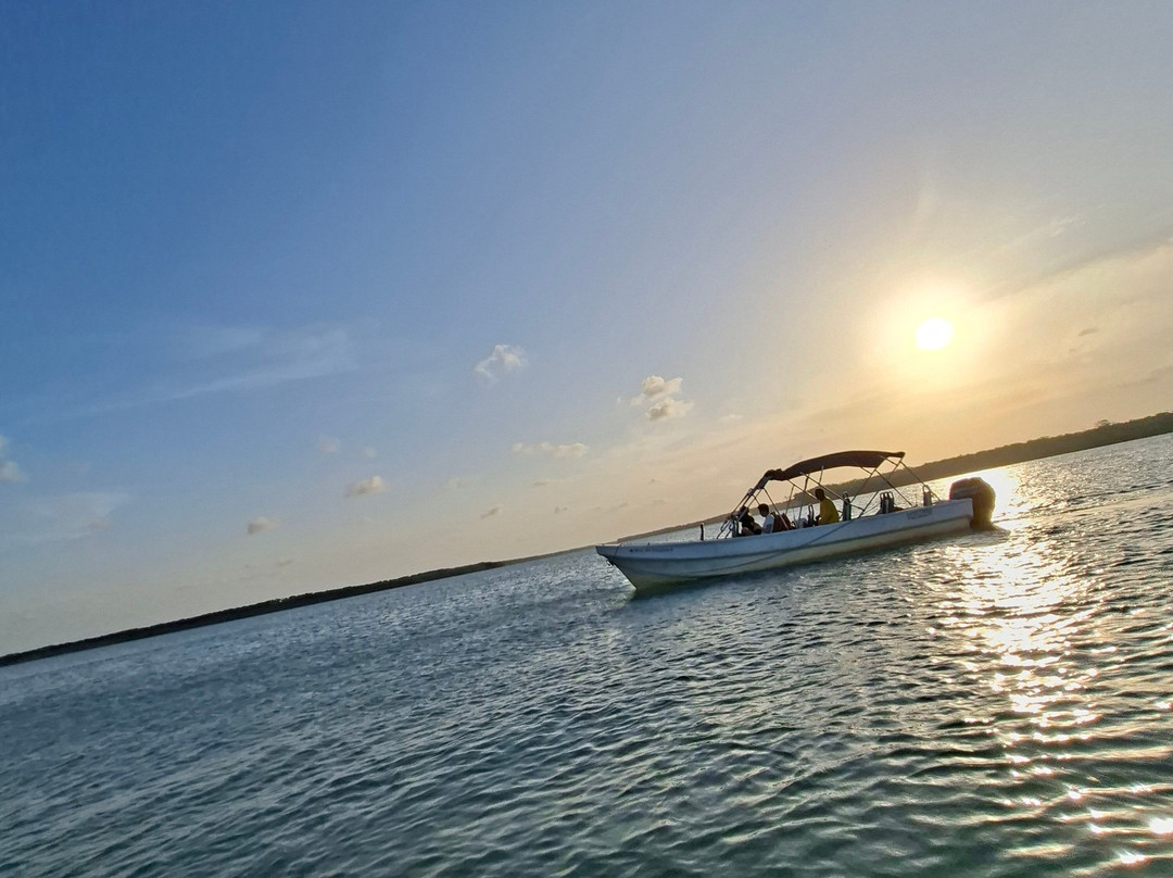 Guará Transfer-Luis Correia必去景点
